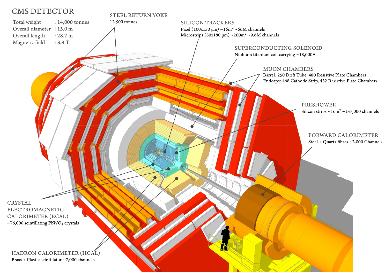 CMS Detector. Tiny human for scale